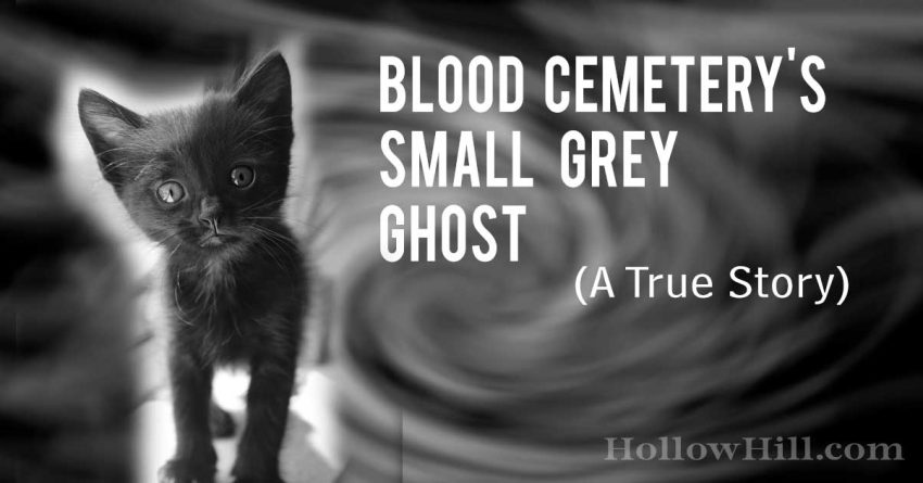 Blood Cemetery's small grey ghost - true story