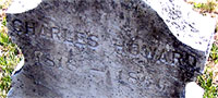 Charles Howard headstone - details