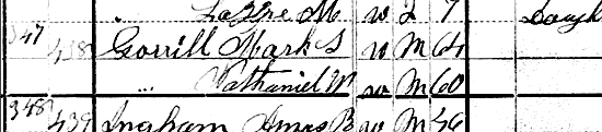 gorrill-census-1880
