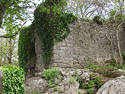 Castle ruins in Ireland
