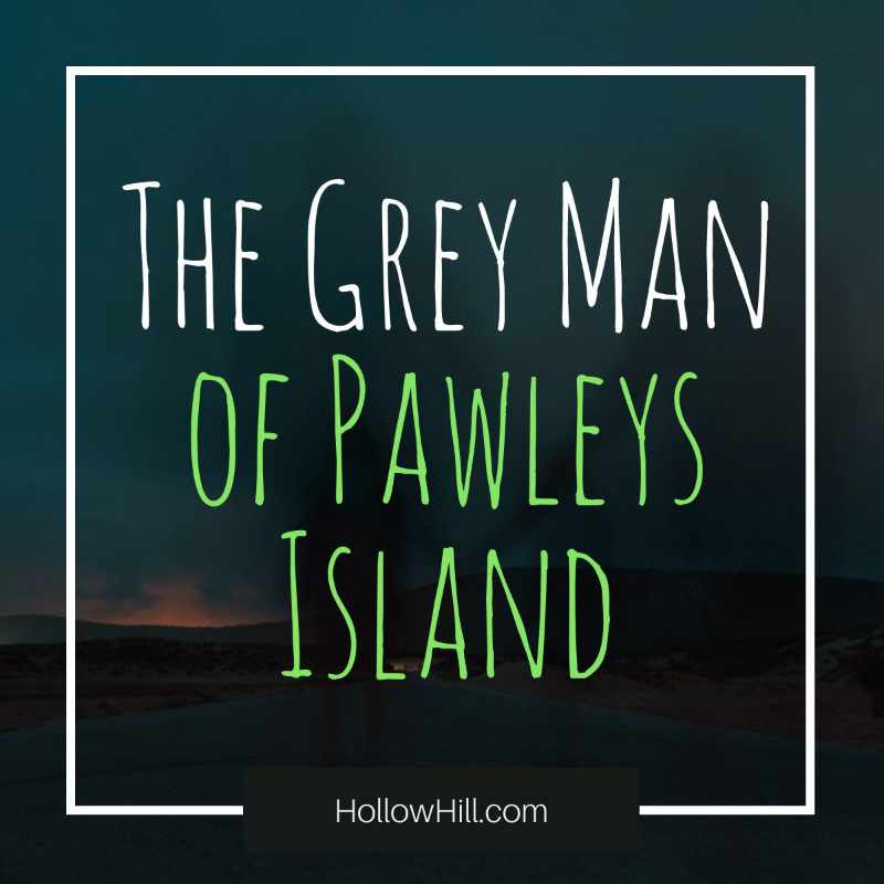 Grey Man of Pawley's Island SC