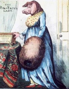Pig-faced woman in the 17th century