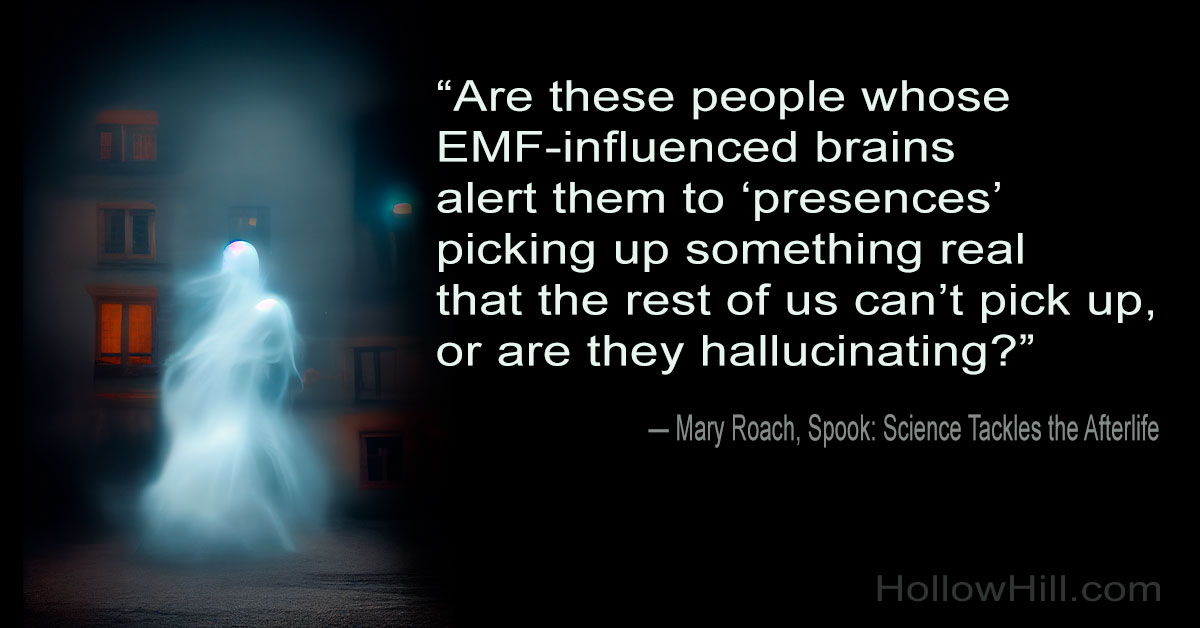 Does EMF explain ghosts?